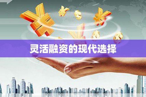 乐亭灵活融资的现代选择